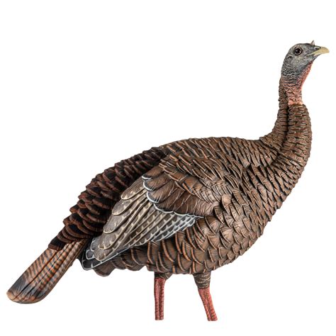 New for 2020: Avian-X HDR Hen Turkey Decoy - Turkey and Turkey HuntingTurkey and Turkey Hunting