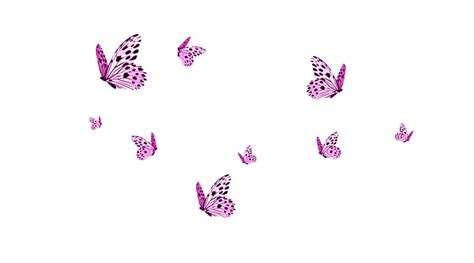 Pink Butterfly Transparent Images Png Arts