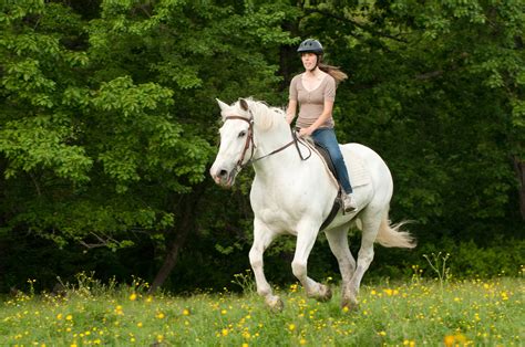 She informed him that her husband had been delayed and to call back the next day. Guided Horseback Trail Rides - Carousel Horse Farm