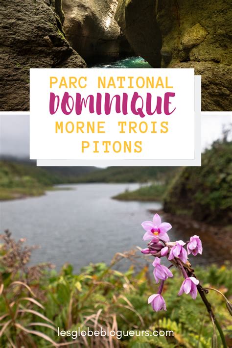 Découvrez Les Plus Beaux Lieux Du Parc National De Morne Trois Pitons Sur L île De La Dominique
