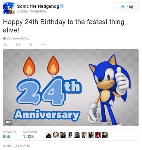 Sonic The Hedgehog´s 24th Anniversary Tgg