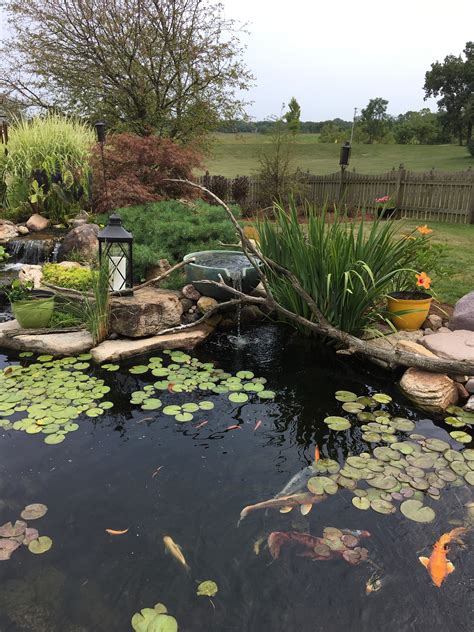 Pictures Of Small Backyard Ponds Fishlovehim