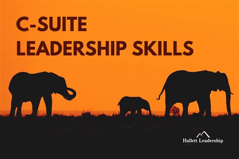 C Suite Leadership Skills Being The Change You Wish To See