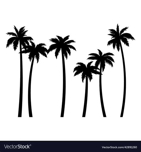 Palm Trees Black Silhouette High Quality Vector Image