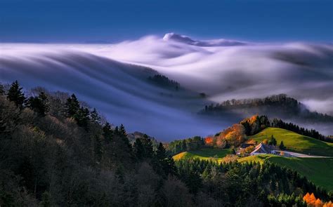 Nature Mountain Forest Landscape Mist Trees Grass Fall Clouds