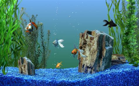 It is highly polished and engineered with great graphics. 50+ Free Themes Wallpaper Screensavers Windows on ...