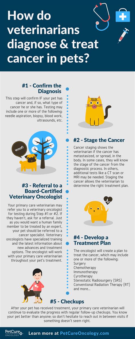 Pet Cancer Diagnosis What To Expect Petcure Oncology