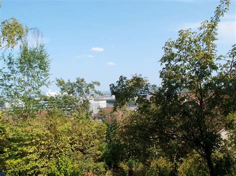 Jetzt passende häuser bei immonet finden! Saba Immobilien - Referenzen