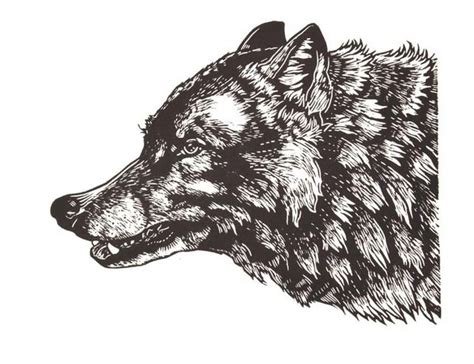 Wolf Block Print In Black £3500 Linocut Wolf Illustration Wolf Art