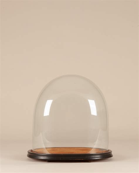 Taxidermy Antique Oval Glass Dome