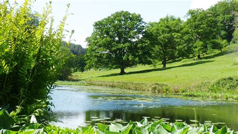 The Countryside Around Stourhead Wiltshire Famous Gardens Landscape