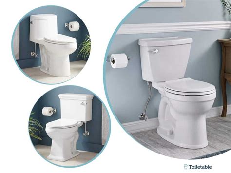 Trapway Comparison Guide Of 2023 Toiletable