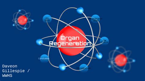 Organ Regeneration By Daveon Gillespie