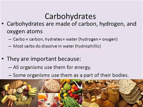 What are the classifications of carbohydrates? Carbohydrates |authorSTREAM