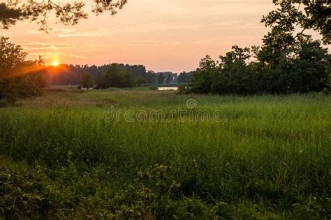 Swedish Countryside Stock Photo Image Of Sunset Summer 46317992