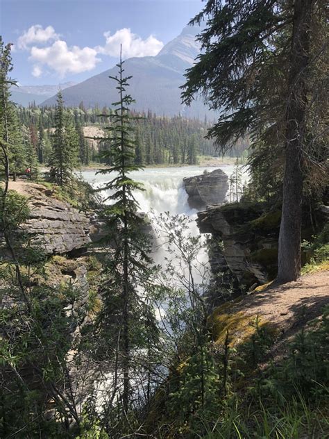 アサバスカ滝 クチコミガイド フォートラベル Athabasca Fallsカナディアンロッキー