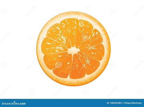 Fruits Dorange En Dessin Plat Moitié Orange Illustration De Vecteur