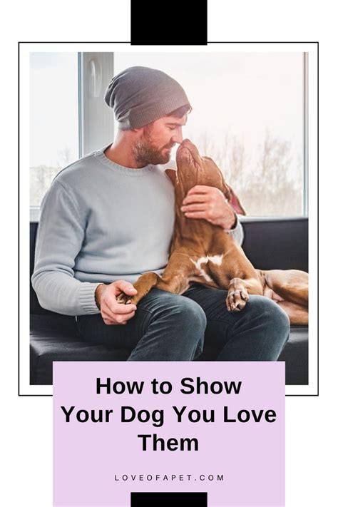 How To Show Your Dog You Love Them 10 Ways In 2023 Dog Care Tips