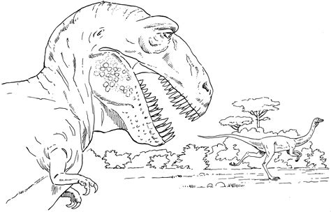 Tyrannosaurus Rex Ausdrucken Dinosaurier Zum Ausmalen Ausmalbild Porn Sex Picture