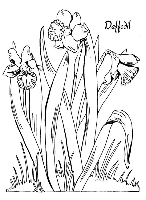 Https://wstravely.com/coloring Page/nature Coloring Pages Pdf