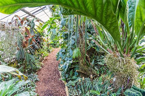 Botanischer garten der technischen universitaet dresden. Botanischer Garten Dresden Luxus Botanischer Garten Mainz ...