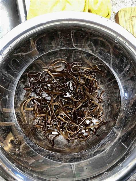 The cdc's website notes black fungus is a rare but serious infection caused by naturally occurring molds or fungi classified as mucormycetes. paddestoelen
