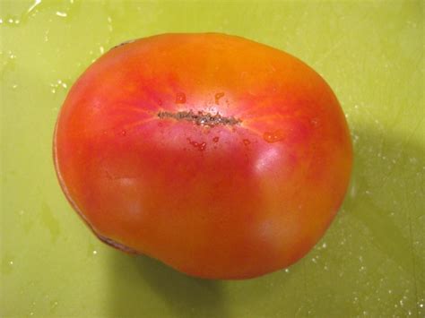 Tomato Mr Stripey Seeds Certified Organic Tomatoes