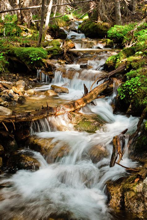Small Creek In Forest Photograph By Christopher Kimmel Fine Art America