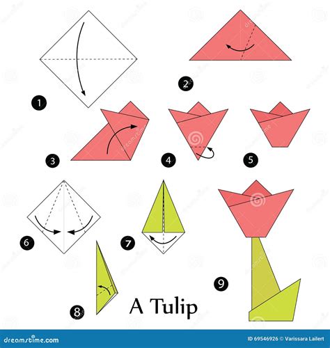 Origami Tulip Step By Step