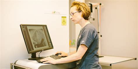 Veterinary Radiography And Ultrasonography Diagnostics Potts Point