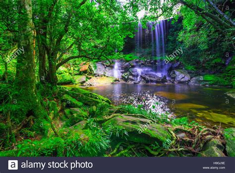 Beautiful Tropical Rainforest Waterfall In Deep Forest