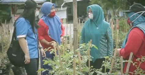 Ekaltara, tanjung selor 9 april 2019. Program GWM Dorong Penghasilan Keluarga di Tengah Pandemi ...