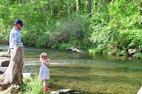 Teaching Kids To Fly Fish And Best Fly Fishing Gear For Kids