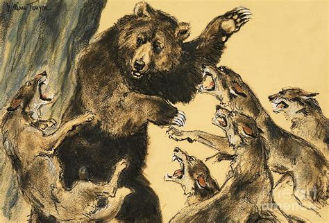 Bear Fighting Wolves Painting By William Timyn Fine Art America