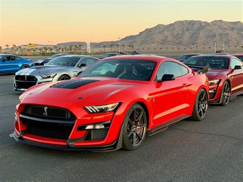 2020 Shelby Gt500 Color Options Mustang Fan Club