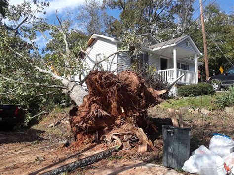 Couple In Their 20s Killed After Tree Falls On House In Georgia