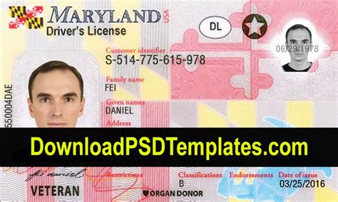 Free Maryland Drivers License Template Photoshop Mazapplications