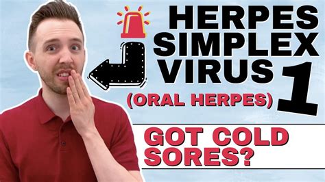 What Is Herpes Simplex Virus 1 Oral Herpes Cold Sores On Lips Can