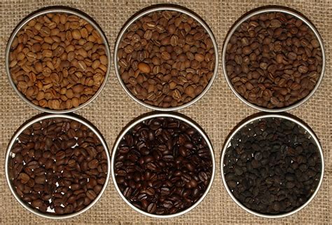 Best Light Roast Coffee Beans 2022 Reviews By Fourth Estate