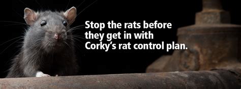 Therefore, safety is our main priority. Corky's Pest Control - 1,592 Photos - 76 Reviews - Pest ...
