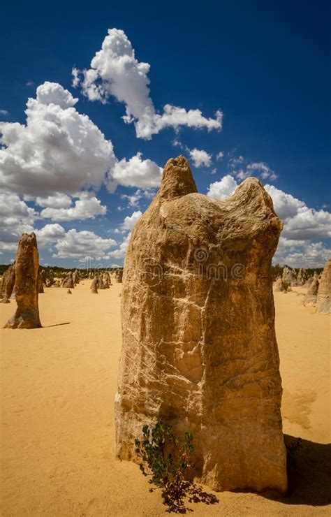 Large Limestone Pillar In The Nambung National Park Stock Image Image