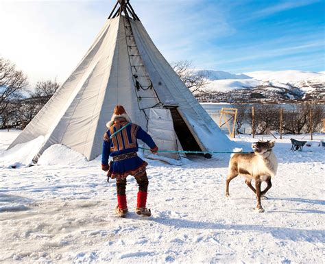 Ways To Experience Sami Culture In Tromso Tromso Trip Ideas Viator