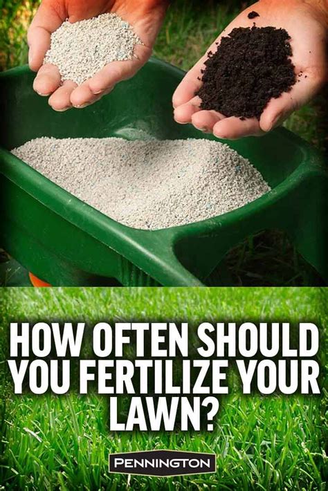 When And How To Fertilize Your Lawn Lawn Fertilizer Diy Lawn Care