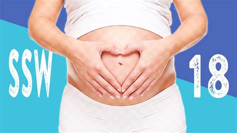 18 Ssw Die 18 Schwangerschaftswoche Auf Einen Blick Netmomsde