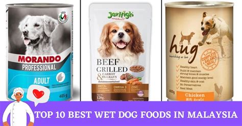 Top 10 Best Dog Food Skin And Coat Canned Reviews And Expert Picks