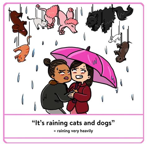 Its Raining Cats And Dogs Illustratedidioms Idioms