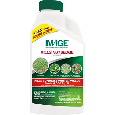 It wards off potential fungal diseases such as blight, downy mildew, powdery mildew and both items needed to make your own copper sulfate, or bordeax mix, are readily available at your local lowes or home depot. Southern Ag 1 Pt. Liquid Copper Fungicide-100048940 - The ...