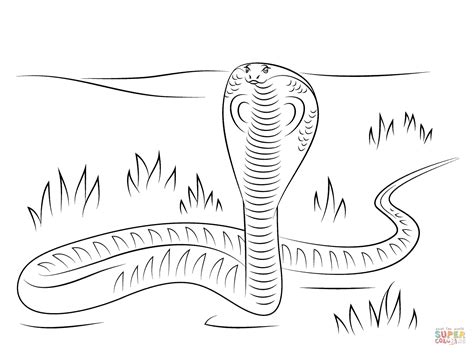 Coloriage Cobra Coloriages à imprimer gratuits