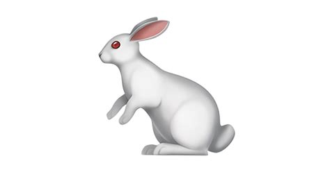 🐇 Rabbit Emoji — Meaning Copy And Paste