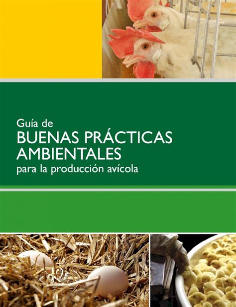 Pdf Guía De Buenas Prácticas Ambientales Para La Producción Avícola Dokumen Tips